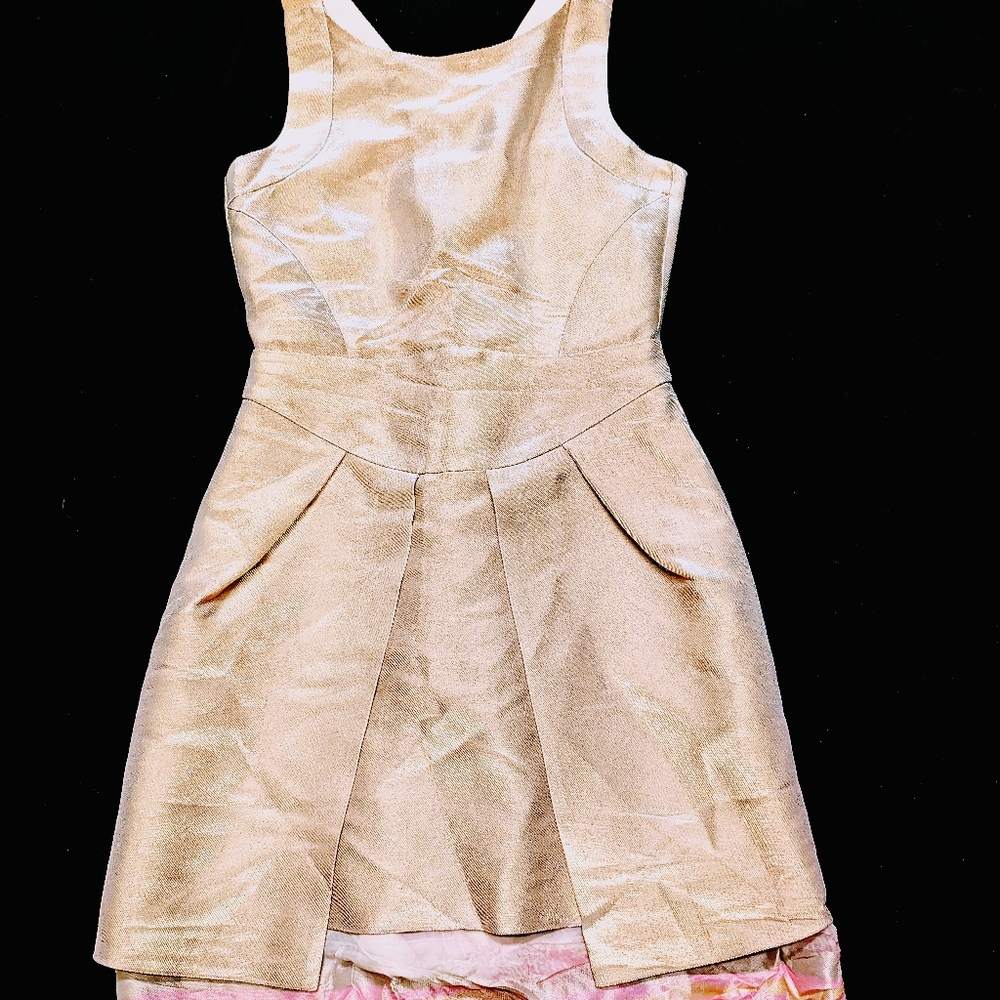 Shiny Cream Colored Dress with Pink Lace on Bottom